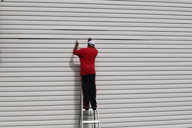 Best Fascia and Soffit Installation  in Central City, IA