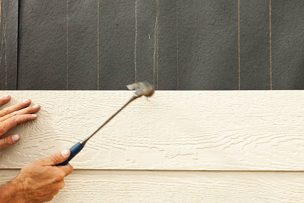 Best Storm Damage Siding Repair  in Central City, IA
